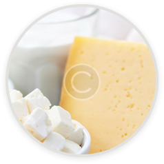 cheese.png